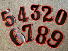 Old School Falcon Pro BMX Race