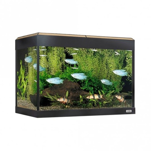 Fluval roma led - fluval,