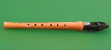 Rosetti Descant Wooden Recorder with Black plastic mouthpiece