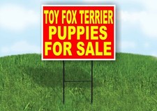 Toy Fox Terrier PUPPIES FOR