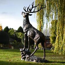 Life-Size Stag on Rock Garden