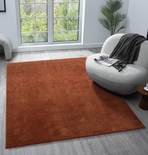 Comfy plush area rug - plush, for