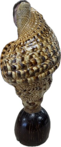 Rare vintage triton conch - rare,