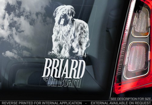Briard car window sticker - car,