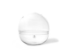 Globe Terrarium Glass Container 27 cm Orb Glass Optional Plants Moss Tools