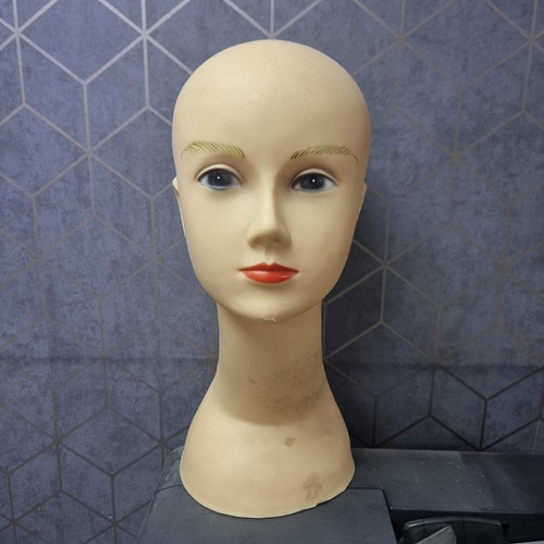 Plastic mannequin head display - mannequin,