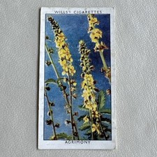 Wild Flowers - Wills Cigarette Cards 1923 - #14 ‘ Agrimony ‘ 
