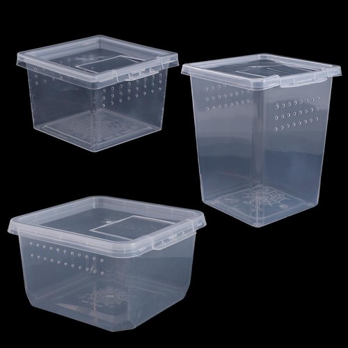 Plastic reptiles living - plastic,