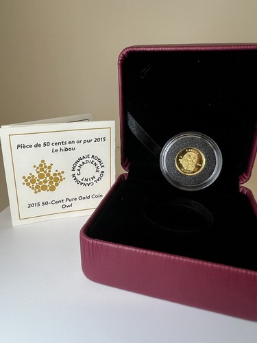 2015 canada snowy owl - 2015, 1/25