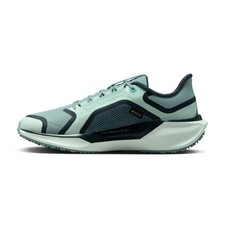 Nike Zoom Pegasus 41 GTX
