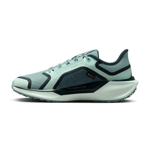 Nike zoom pegasus gtx - zoom,