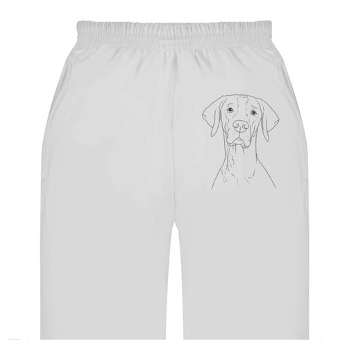 English pointer dog - 'english, adult