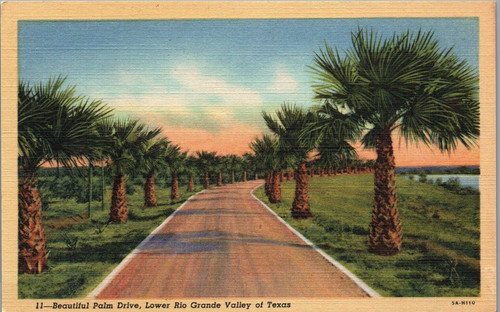Beautiful palm drive lower rio - beautiful,