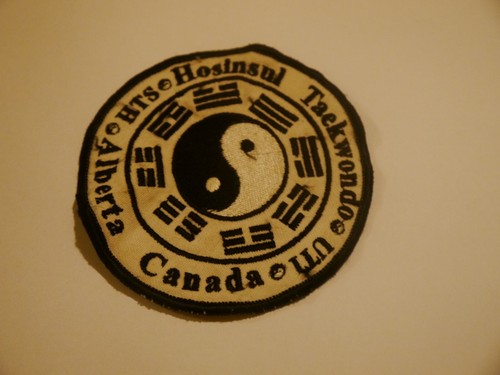 Martial arts badge patch - badge,