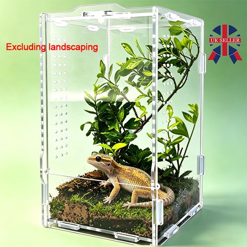 Acrylic terrarium enclosure - acrylic,