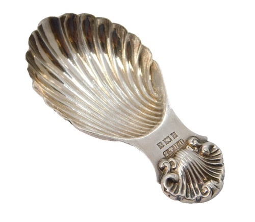 Sterling silver shell - sterling,