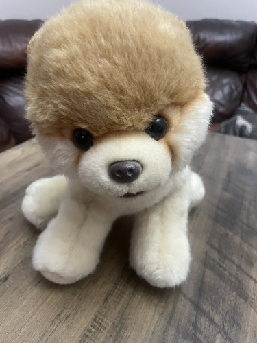 Boo dog plush - dog,