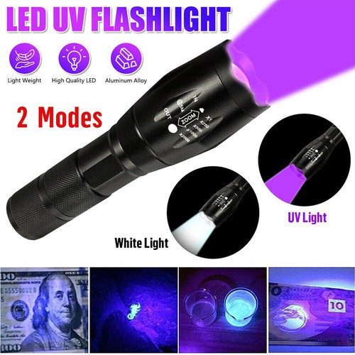 Ultra violet flashlight - uv,