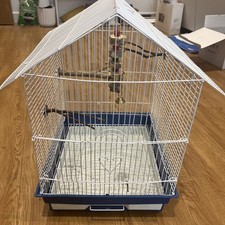 KCT LIMA BLUE PLUS MEDIUM BIRD