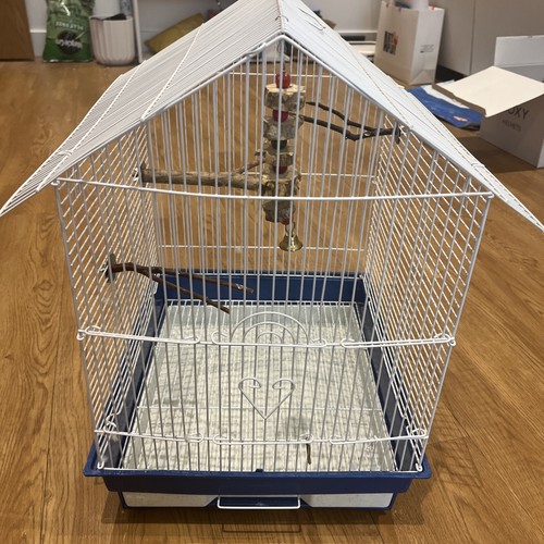 Kct lima blue - medium, bird