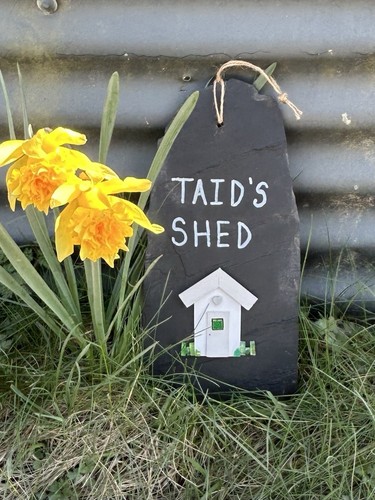 Taid shed with wooden - wooden,