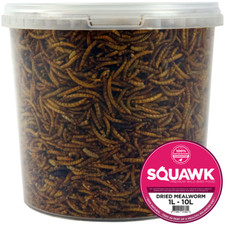 Squawk dried mealworms - mealworms,