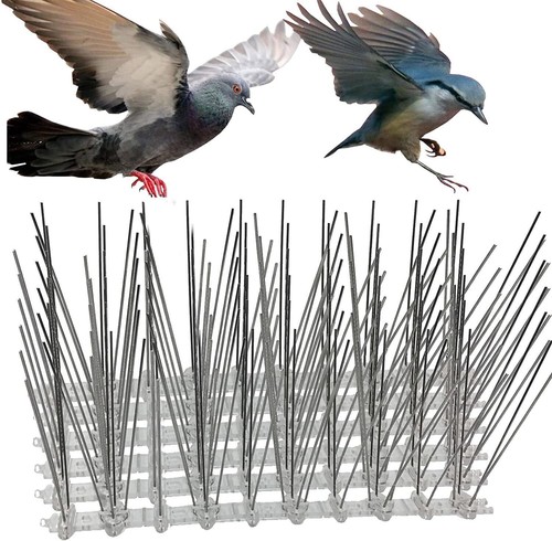 Steel bird spikes fences wall - spikes,