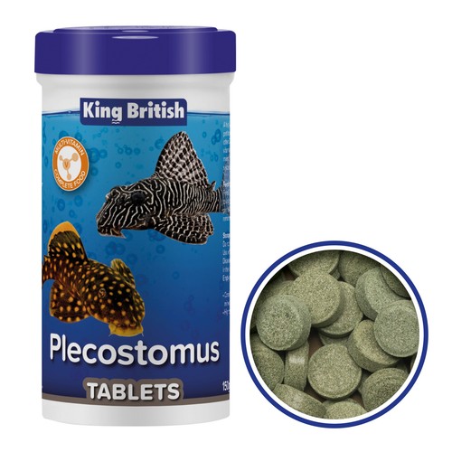 King british plecostomus - british,