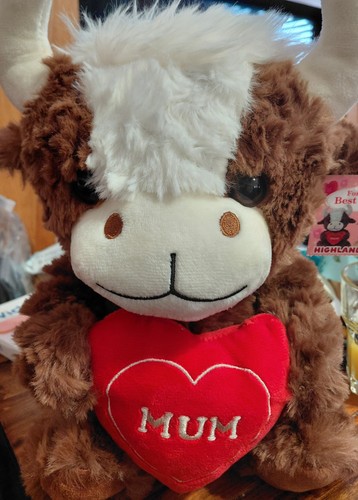 Lovely soft plush highland cow - lovely,