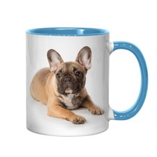 French bulldog pup light - french,
