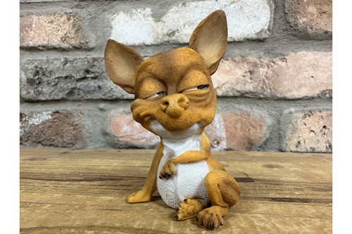 Smirking grining chihuahua - /,