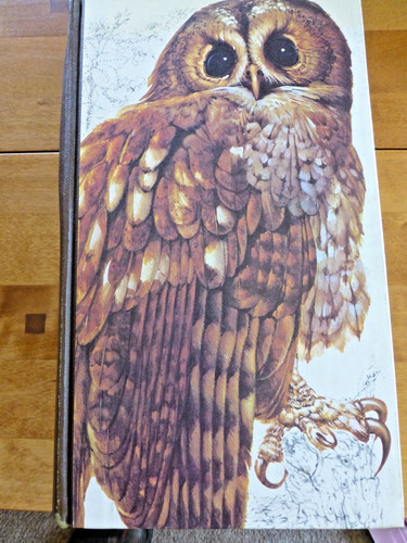 Book british birds reader s - british, reader's
