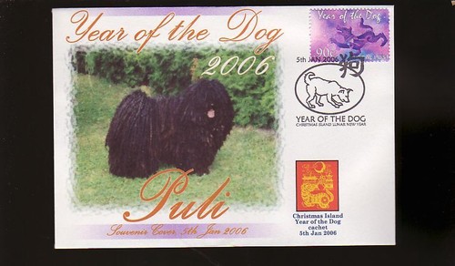 Hungarian puli 2006 year - hungarian,