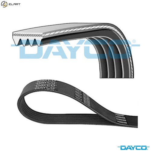 Vribbed belt 4pk954 for - vribbed,