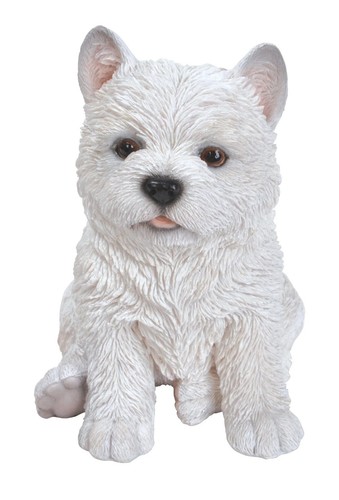 Vivid arts pet pal west - pal,