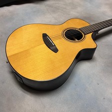 Breedlove Performer Pro