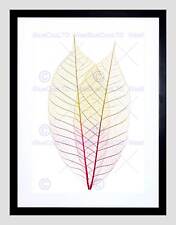 SKELETON LEAVES LIGHT PLANT BLACK FRAME FRAMED ART PRINT PICTURE MOUNT B12X9181