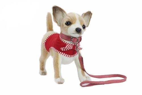 Hansa chihuahua red jacket - hansa,