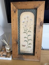 Vintage Framed Botanical Daisy