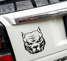 American Staffordshire Terrier