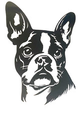 1x Boston Terrier Decal Vinyl