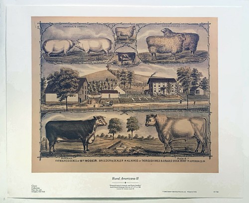Rural americana hand - rural,