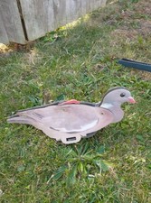 Shooting Decoy's Pigeon And Magpies