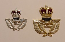 Two Recent Issue Royal Air Force RAF Anodised Warrant Officer Cap/Beret Badges