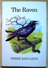 Ratcliffe, Derek THE RAVEN: A NATURAL HISTORY IN BRITAIN AND IRELAND Hardback Bo