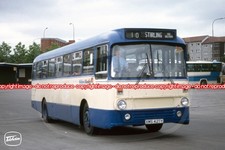 Bus photo midland bluebird - photo,