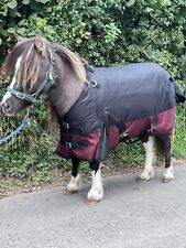 QUALITY MINI/SHETLAND/PONY