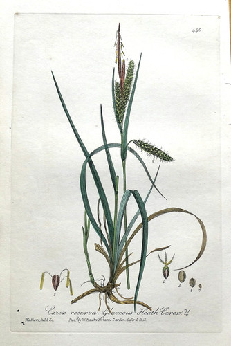 1841 original antique - original,