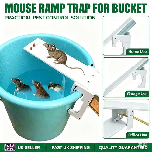 Spring rocker mouse - spring, rat
