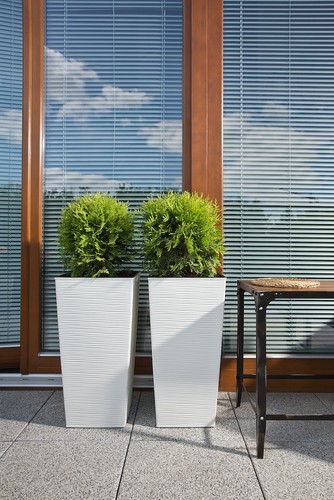 Tall wave pattern plant pot - pattern,